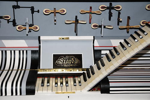 Ornithos Lino de Giuli