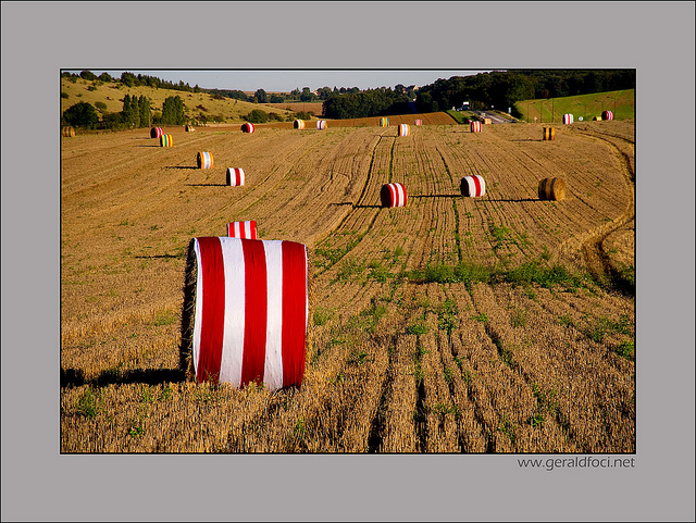 Ballots bandes colores, rappel des voiles viking, l'exprience-test ralise en septembre 2010