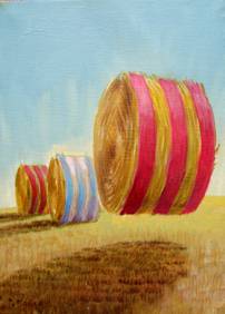 test par Pierre Marcel