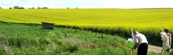 Jean comme toujours trs intensment engag dans son projet de peinture