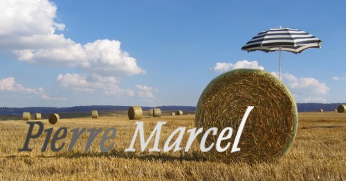 Pierre Marcel  plants the Miami Beach flag onto Normandie rollers balls! 