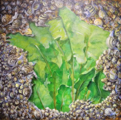 Oseille - escargots  Front Hexagonal juin 2012 