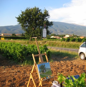 Pierre Marcel au boulot vers Bdoin, le bon vin du Ventoux. 